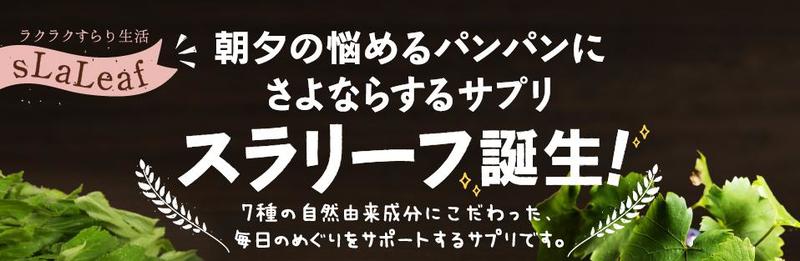 �ނ��݃T�v���y�X�����[�t�z���T�C�g